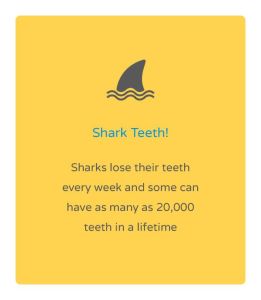 shark fact