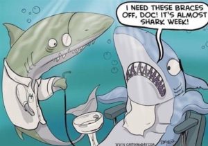 shark braces