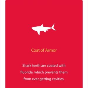 shark fact